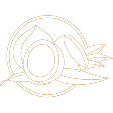 Signature chocolate box icon